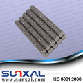 Sunxal Parylene Coating Neodymium Magnet